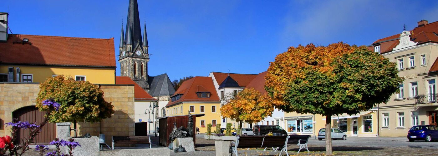 Neustadt in Sachsen Markt