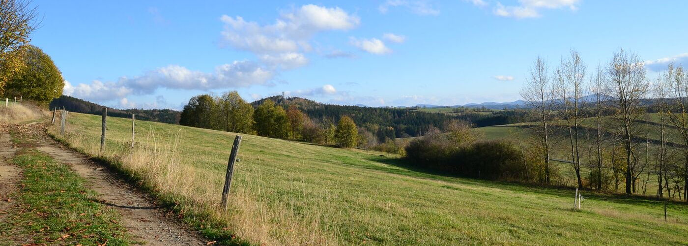Am Wachberg, Blick auf Weifbergturm
